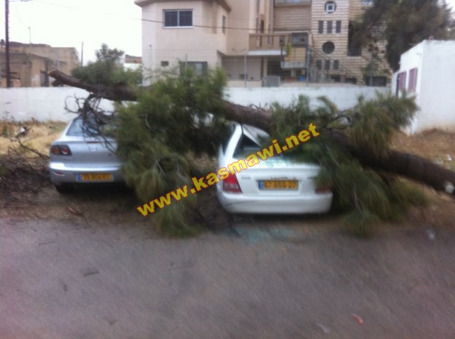 كفرقاسم : العاصفة تشتد ووقوع شجرة كبيرة تخلف اضرارا والبرد يغطي شوارعنا  